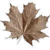 Стикер 33 Mahakaruna Autumn