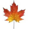 Стикер 9 Mahakaruna Autumn
