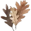 Стикер 13 Mahakaruna Autumn