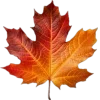 Стикер 24 Mahakaruna Autumn