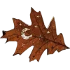 Стикер 29 Mahakaruna Autumn