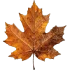 Стикер 19 Mahakaruna Autumn