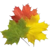Стикер 15 Mahakaruna Autumn