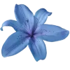 Стикер 8 ᱬ𐌳ዘ𐌉ተᱛ