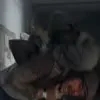 Стикер 22 Майор Гром