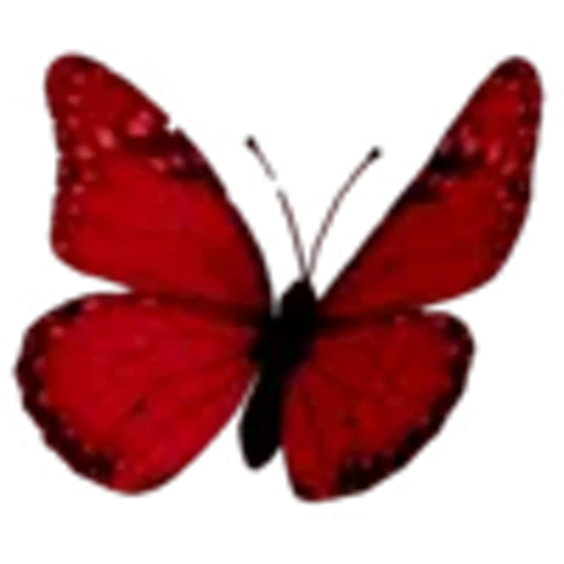🦋 Эмодзи «× рандом эмодзи 6» для Telegram