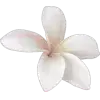 Стикер 60 × random 8