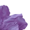 Стикер 55 Ⲙⲁⲙⲓⲙⲓ Ⲧⲁⲛⲁⲕⲁ