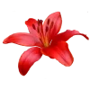 Стикер 25 𝗠𝗮𝗻𝗷𝘂𝘀𝗮𝗸𝗮 ː
