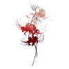 Стикер 18 𝗠𝗮𝗻𝗷𝘂𝘀𝗮𝗸𝗮 ː