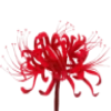 Стикер 13 𝗠𝗮𝗻𝗷𝘂𝘀𝗮𝗸𝗮 ː