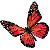 Стикер 44 𝗠𝗮𝗻𝗷𝘂𝘀𝗮𝗸𝗮 ː
