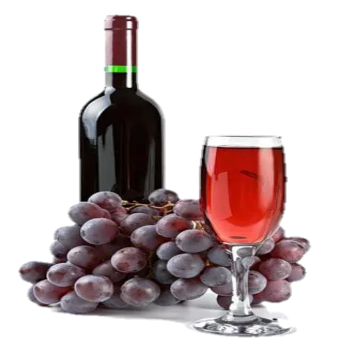 🥂 Стикер «.•° SHARAB °•. ]» для Telegram