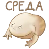 Стикер 60 🤗 Лягушки