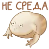 Стикер 61 🤗 Лягушки