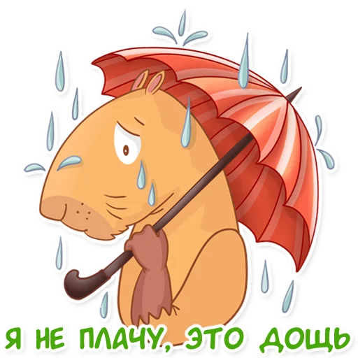 😥 Стикер «Капи Барри» для Telegram
