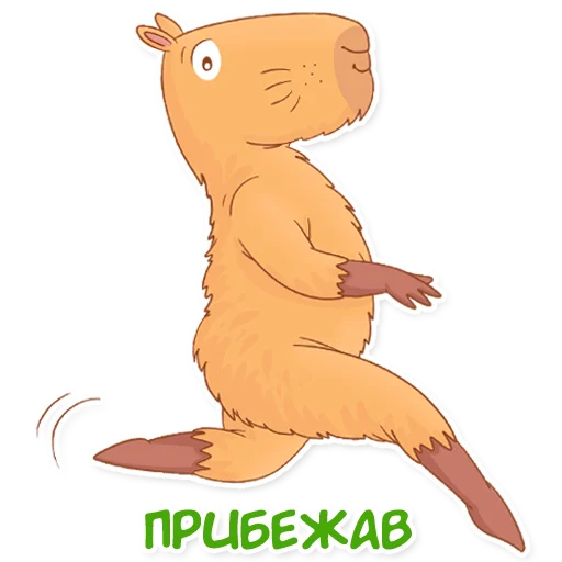 🏃‍♀️ Стикер «Капи Барри» для Telegram