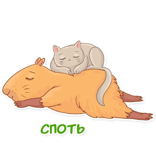 😴 Стикер «Капи Барри» для Telegram
