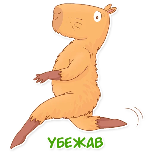 🏃 Стикер «Капи Барри» для Telegram