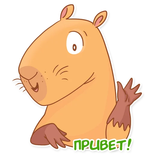 Стикерпак Капи Барри для Telegram