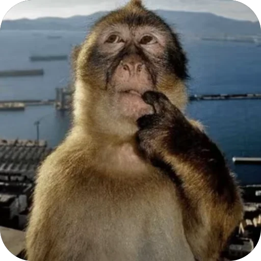 🫥 Стикер «Matsuhara» для Telegram