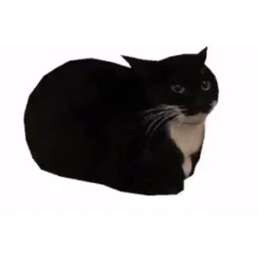 Стикер 7 Maxwell Cat
