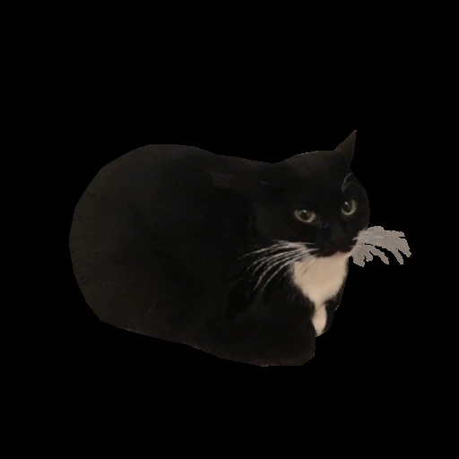 Стикер 9 Maxwell Cat