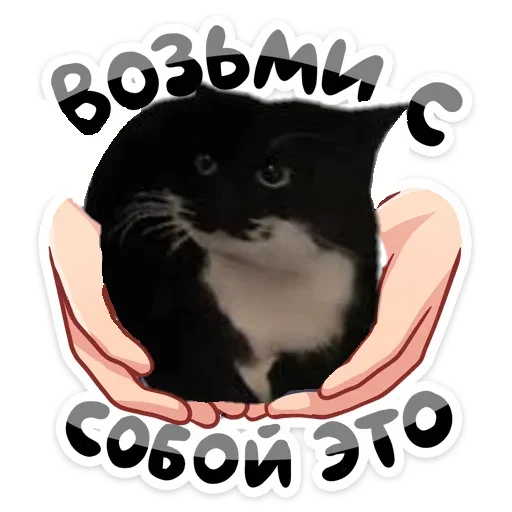 😉 Стикер «Maxwell the Cat • Кот Максвелл» для Telegram