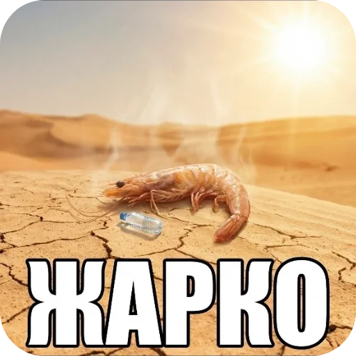 🏜 Стикер «МегаСуперКрутойСтикерпак» для Telegram