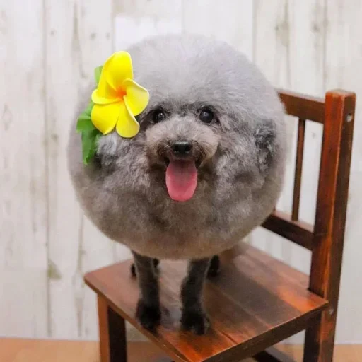 🤩 Стикер «Мемасики))» для Telegram