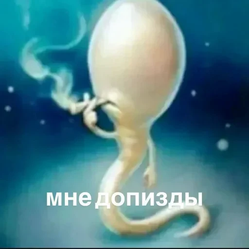 🤩 Стикер «Мемасики))» для Telegram