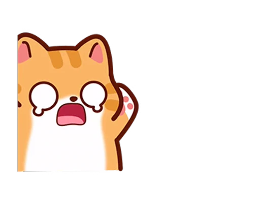 🐱 Стикер «Meme Cat» для Telegram