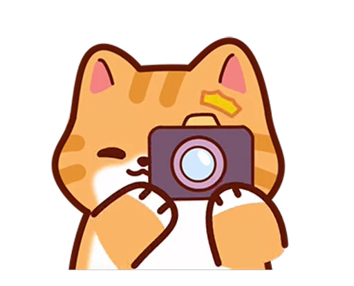 🐱 Стикер «Meme Cat» для Telegram