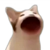 Стикер 50 Memes With Cats