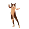 Стикер 57 Memes With Cats