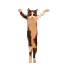 Стикер 56 Memes With Cats