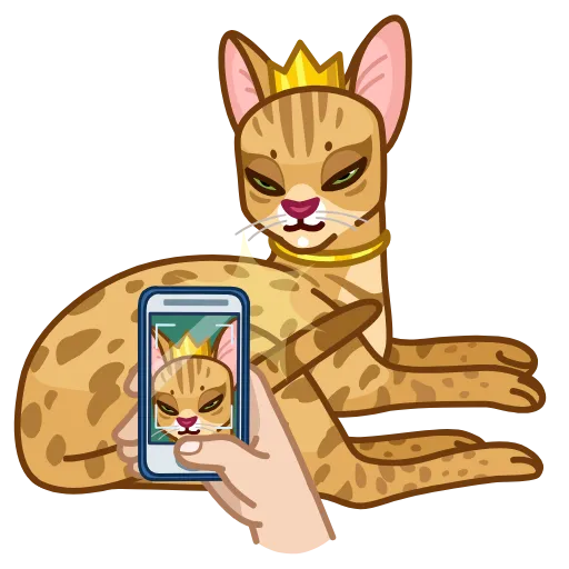 Стикер 25 Memes With Cats