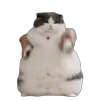 Стикер 53 Memes With Cats