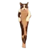 Стикер 54 Memes With Cats