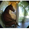 Стикер 47 Memes Ultimate Pack