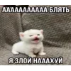 Стикер 37 Memes Ultimate Pack