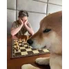 Стикер 49 Memes Ultimate Pack