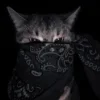 Стикер 45 Memes Ultimate Pack