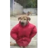 Стикер 55 Memes Ultimate Pack