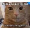Стикер 38 Memes Ultimate Pack