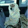 Стикер 54 Memes Ultimate Pack