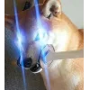 Стикер 44 Memes Ultimate Pack