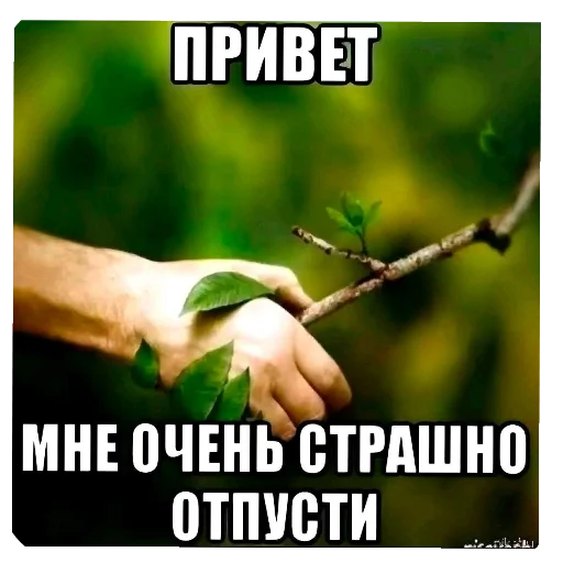 🖼 Стикер «Мемесы.» для Telegram