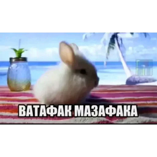 👍 Стикер «Мемесы.» для Telegram