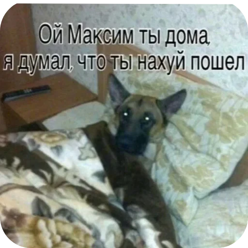 🐱 Стикер «Мемесы.» для Telegram